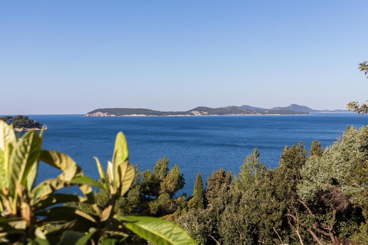 Lovro Dubrovnik