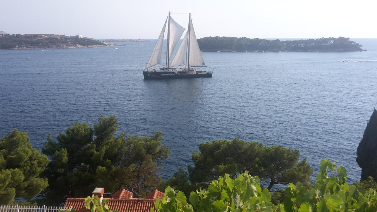 Lovro Dubrovnik
